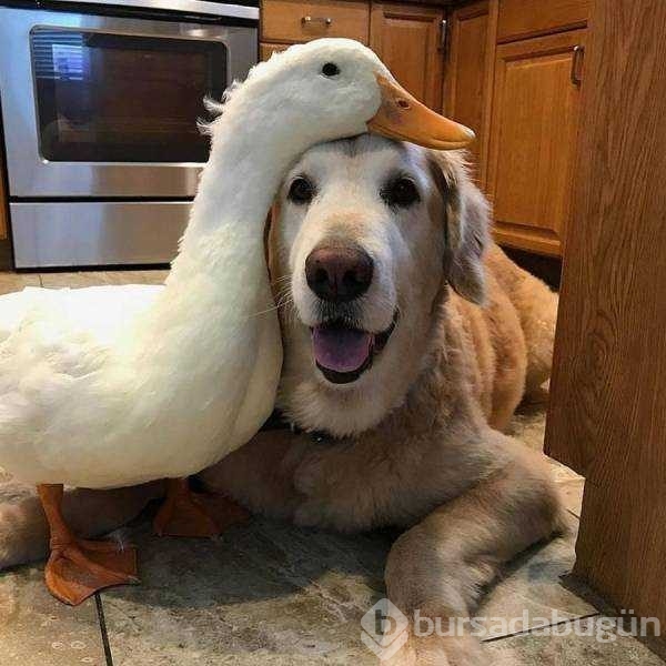 Günün en çok paylaşılan fotoğrafları
