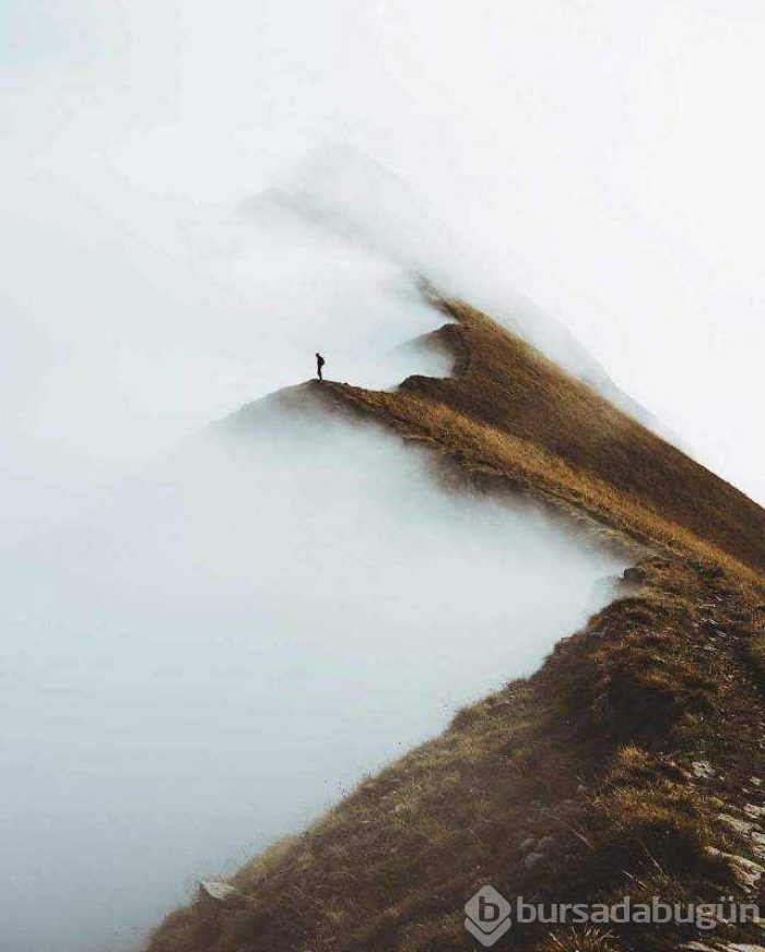 Günün en çok paylaşılan fotoğrafları
