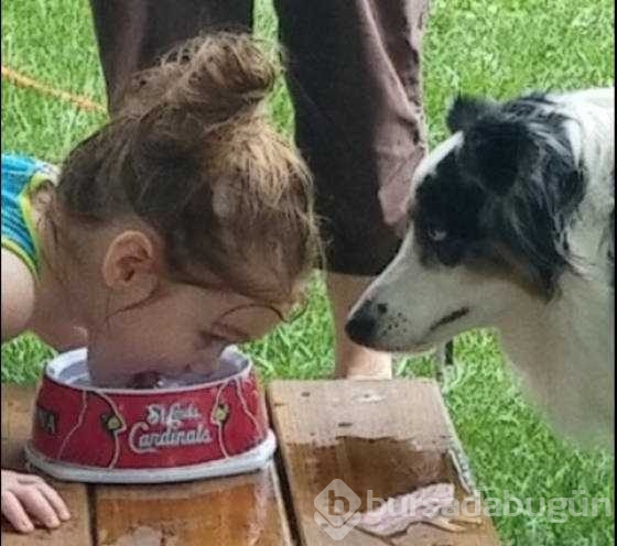 Günün en çok paylaşılan fotoğrafları
