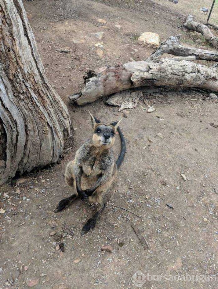 Günün en çok paylaşılan fotoğrafları
