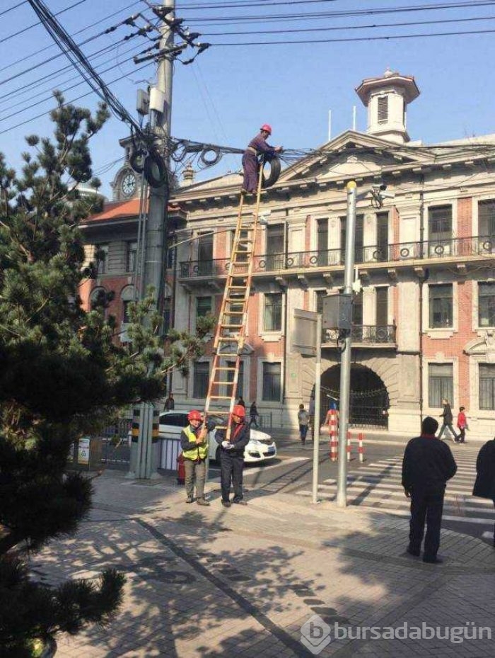 Günün en çok paylaşılan fotoğrafları
