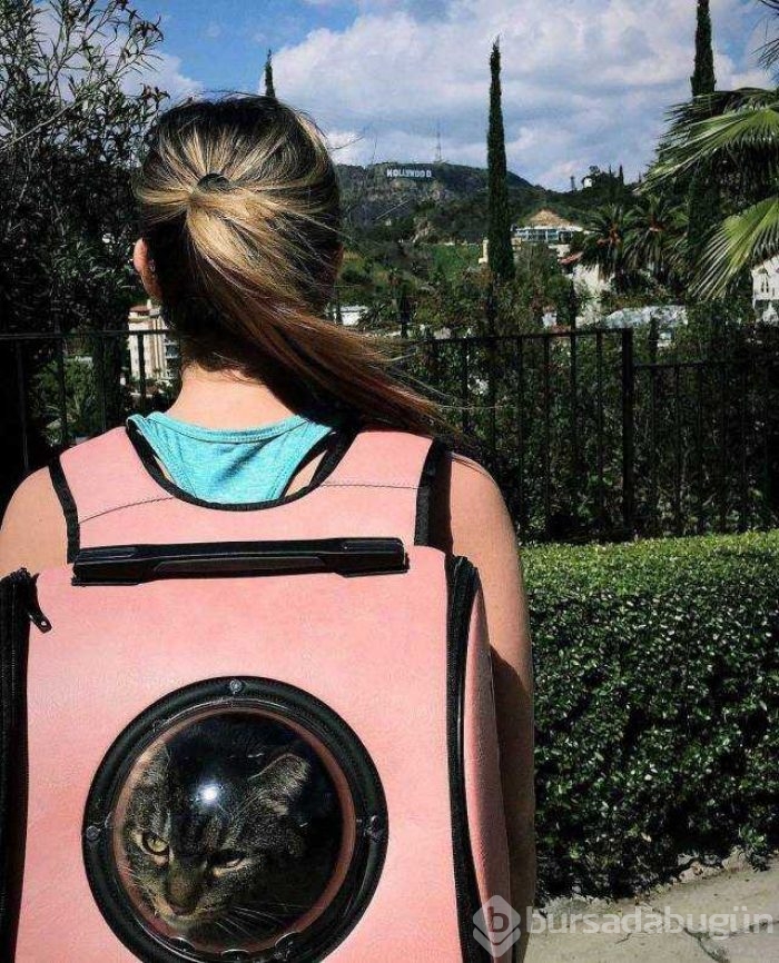 Günün en çok paylaşılan fotoğrafları
