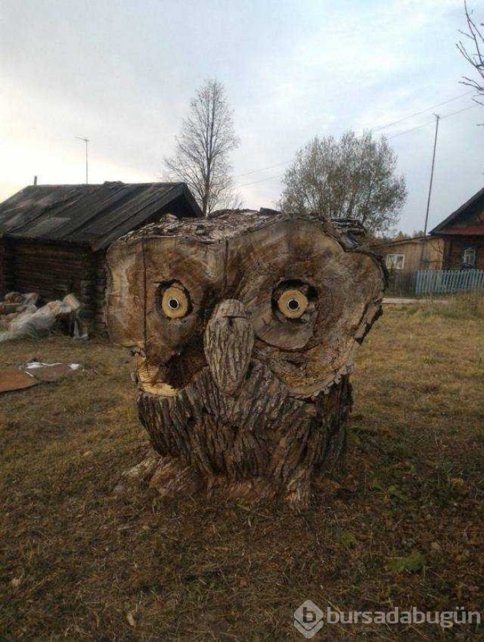 Günün en çok paylaşılan fotoğrafları
