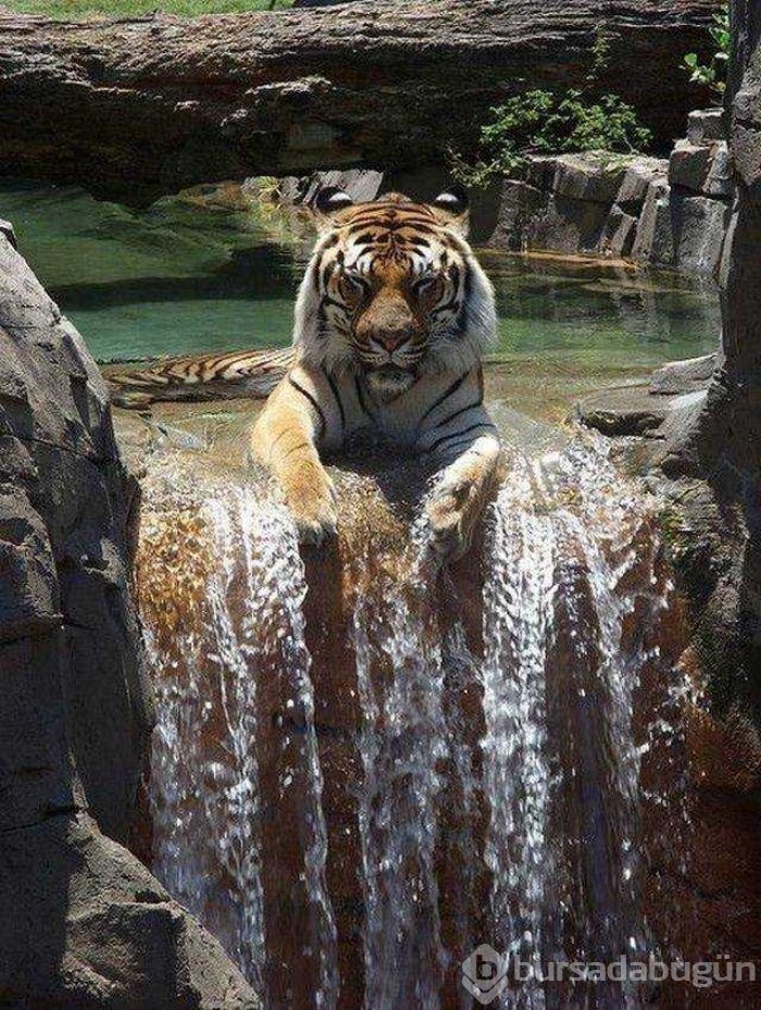 Günün en çok paylaşılan fotoğrafları
