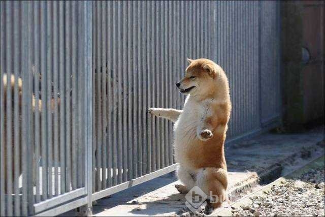 Günün en çok paylaşılan fotoğrafları!