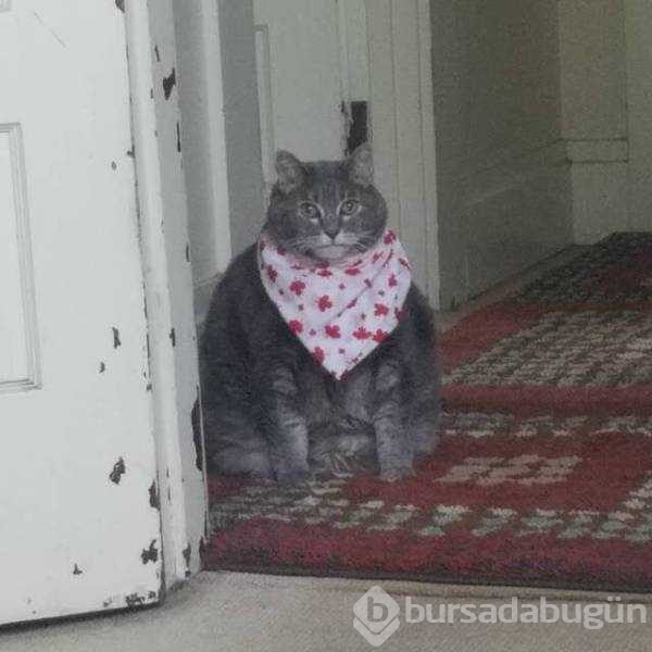 Günün en çok paylaşılan fotoğrafları!