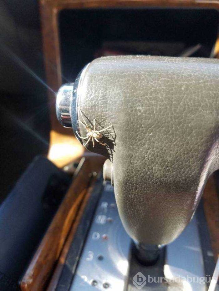 Günün en çok paylaşılan fotoğrafları!