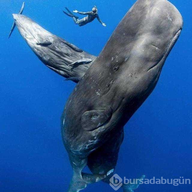 Günün en çok paylaşılan fotoğrafları!