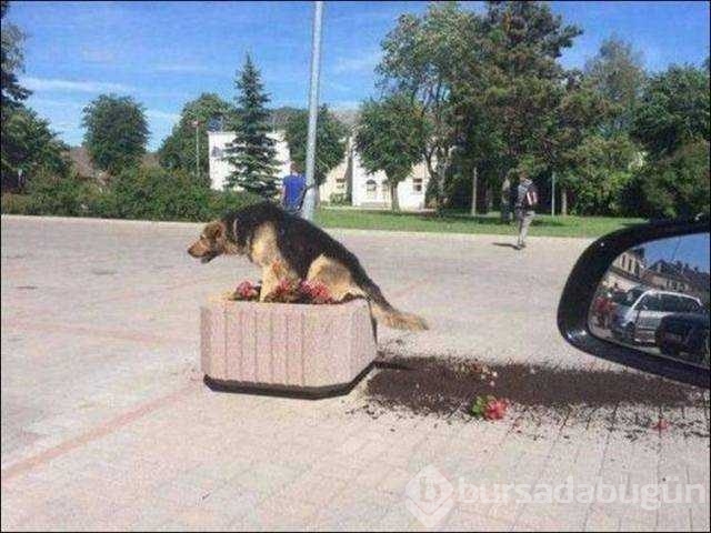 Günün en çok paylaşılan fotoğrafları!