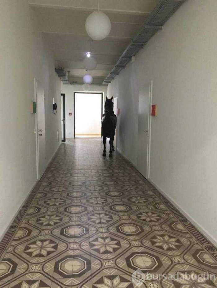 Günün en çok paylaşılan fotoğrafları!