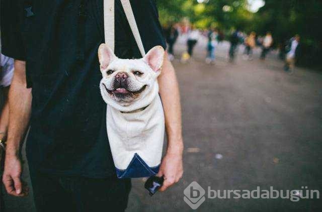 Günün en çok paylaşılan fotoğrafları!