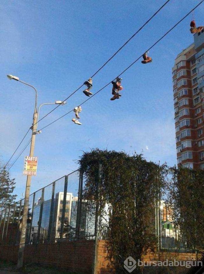 Günün en çok paylaşılan fotoğrafları!