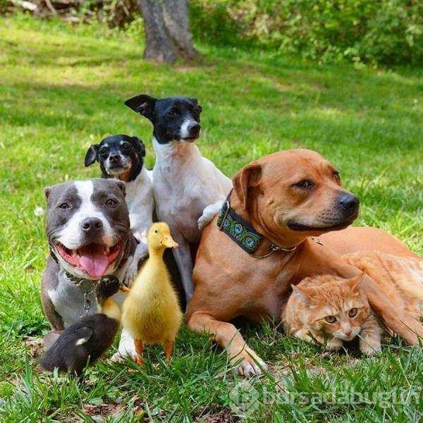 Günün en çok paylaşılan fotoğrafları!