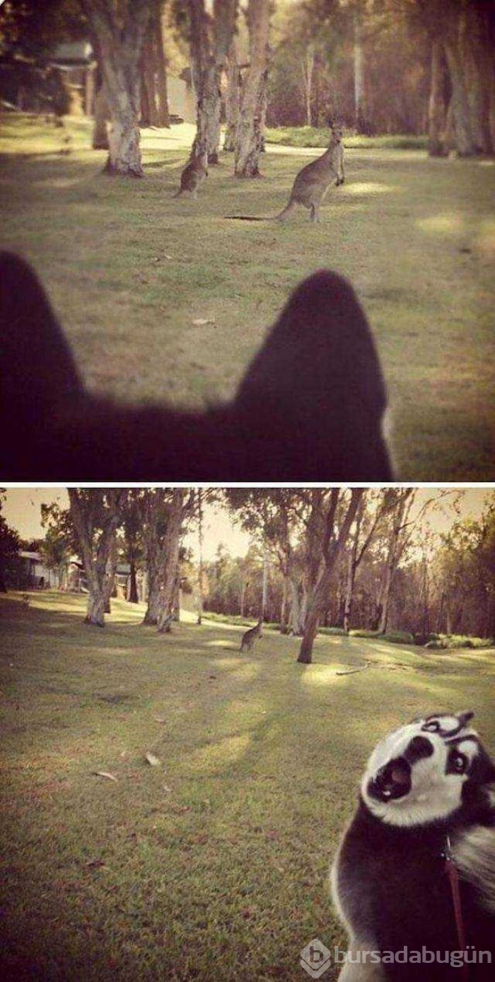 Günün en çok paylaşılan fotoğrafları!