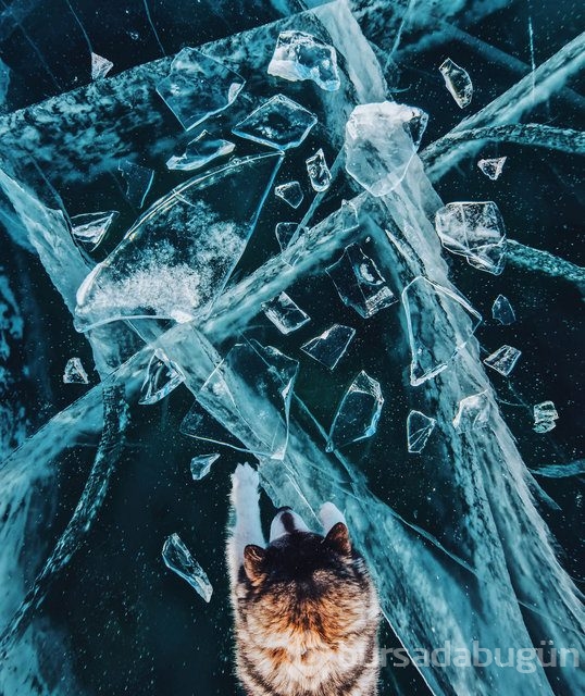 Dünyanın en derin gölü 'Baykal'dan müthiş fotoğraflar