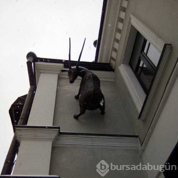 Günün en çok paylaşılan fotoğrafları