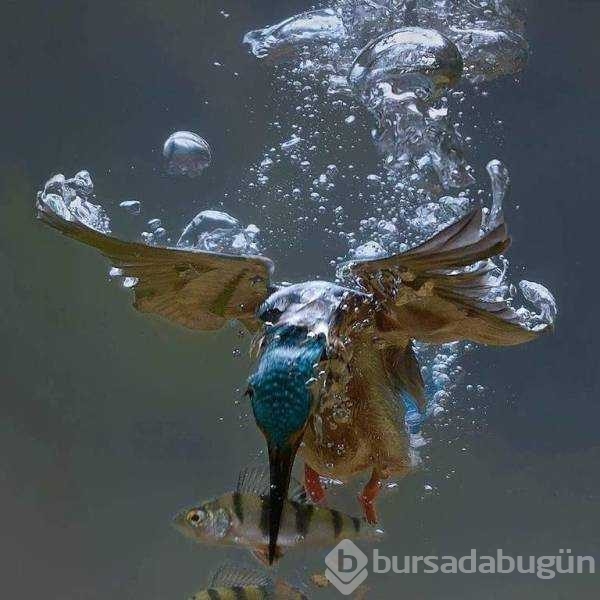 Günün en çok paylaşılan fotoğrafları