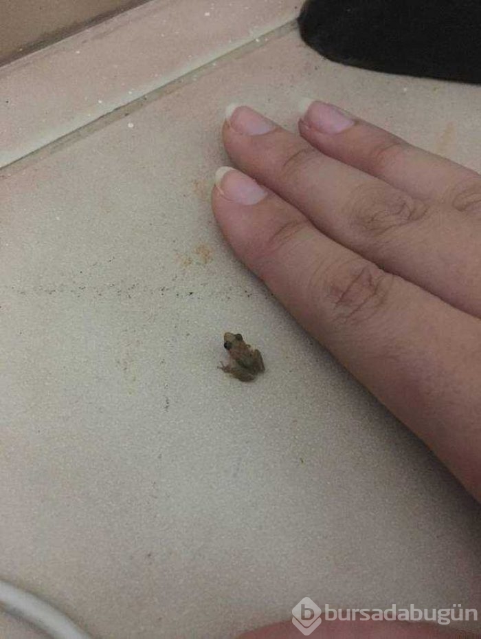 Günün en çok paylaşılan fotoğrafları
