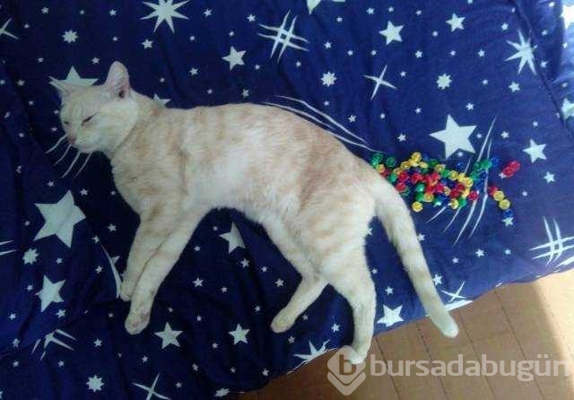 Günün en çok paylaşılan fotoğrafları