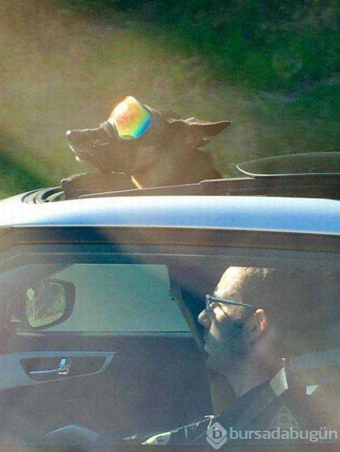 Günün en çok paylaşılan fotoğrafları