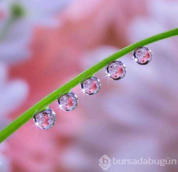 Günün en çok paylaşılan fotoğrafları