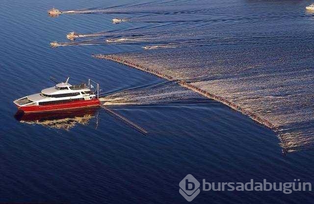 Günün en çok paylaşılan fotoğrafları