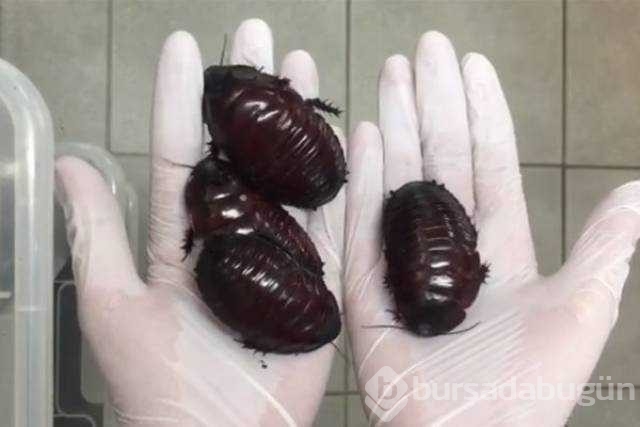 Günün en çok paylaşılan fotoğrafları