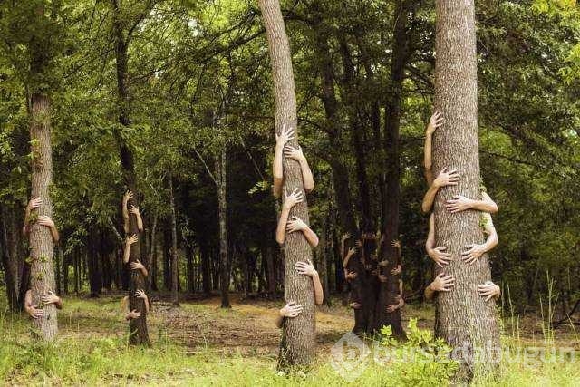 Günün en çok paylaşılan fotoğrafları
