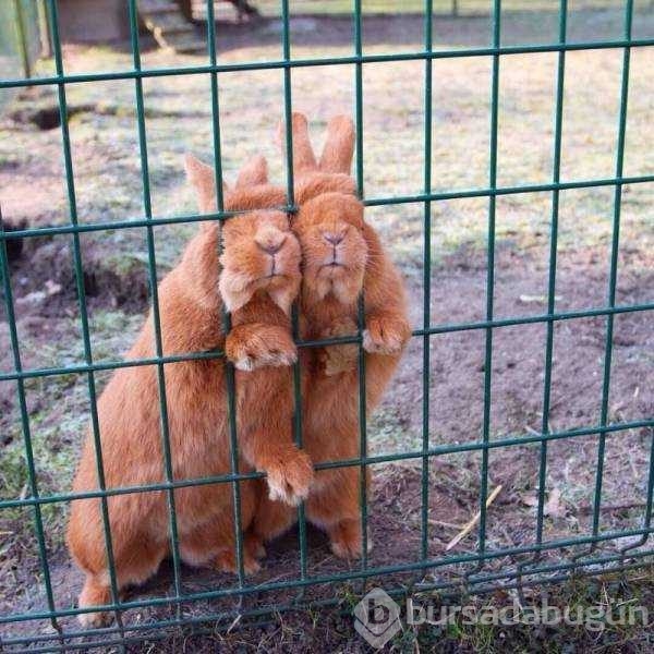 Günün en çok paylaşılan fotoğrafları