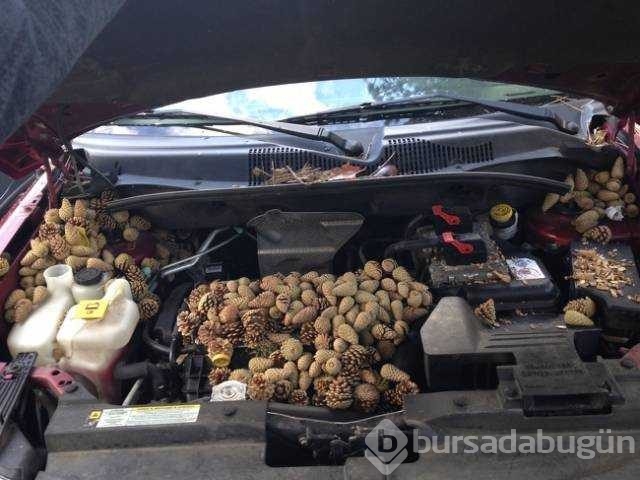 Günün en çok paylaşılan fotoğrafları