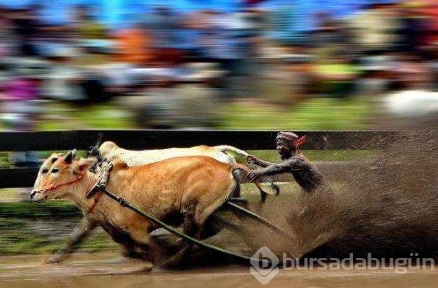 Günün en çok paylaşılan fotoğrafları
