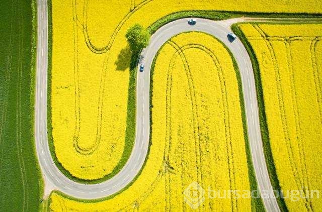 Günün en çok paylaşılan fotoğrafları