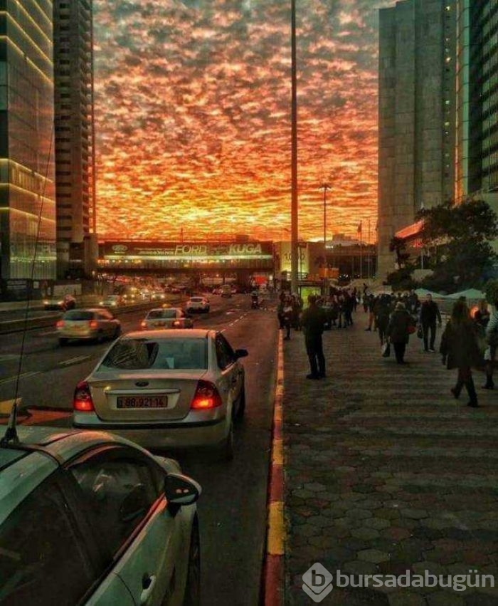 Günün en çok paylaşılan fotoğrafları