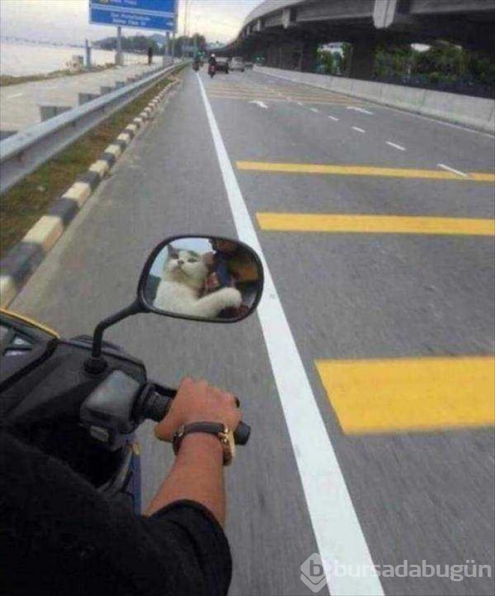 Günün en çok paylaşılan fotoğrafları