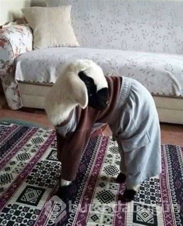 Anlamsız fotoğraflar