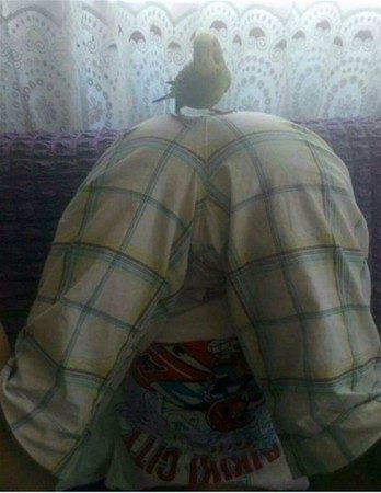 Anlamsız fotoğraflar