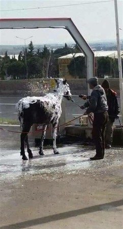 Anlamsız fotoğraflar