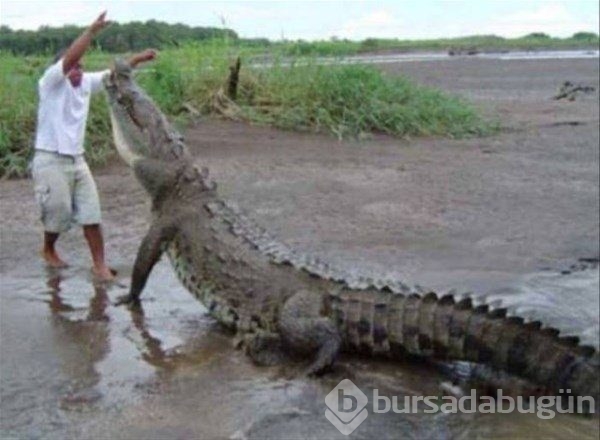Onlar dünyanın en şanssız insanları