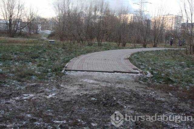 Rusya'dan kameralara takılan ilginç anlar