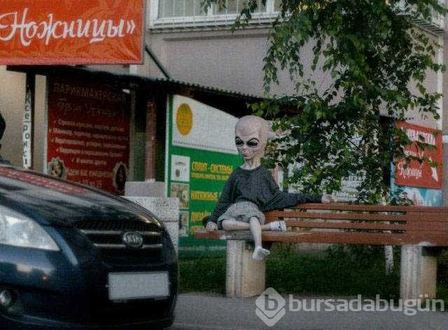Rusya'dan kameralara takılan ilginç anlar