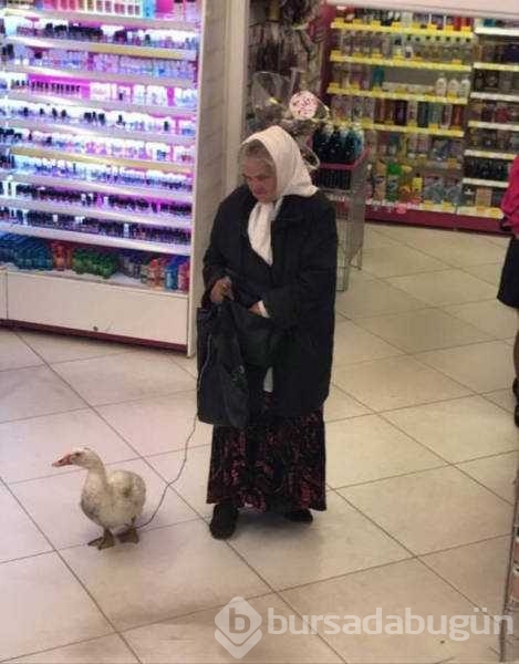 Rusya'dan kameralara takılan ilginç anlar