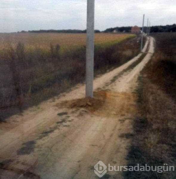 Rusya'dan kameralara takılan ilginç anlar