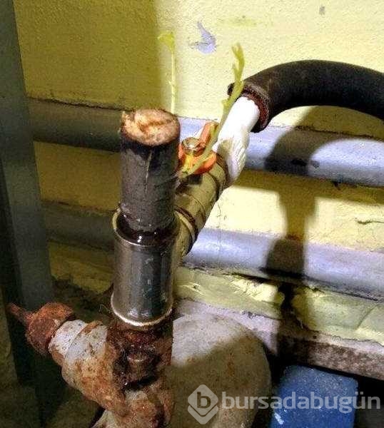 Günün en çok paylaşılan fotoğrafları
