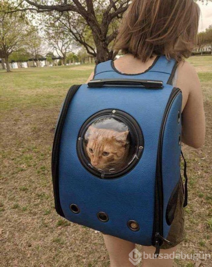 Günün en çok paylaşılan fotoğrafları
