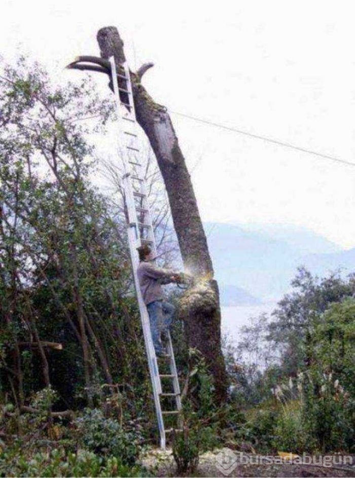 Günün en çok paylaşılan fotoğrafları
