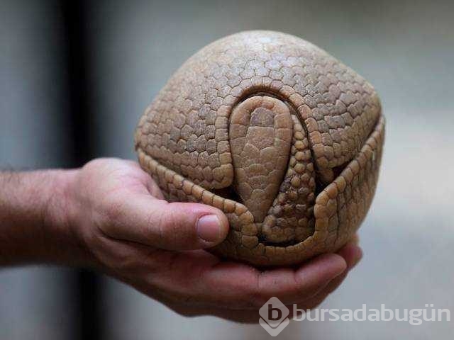Günün en çok paylaşılan fotoğrafları
