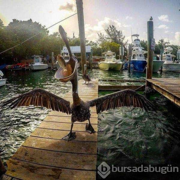 Günün en çok paylaşılan fotoğrafları
