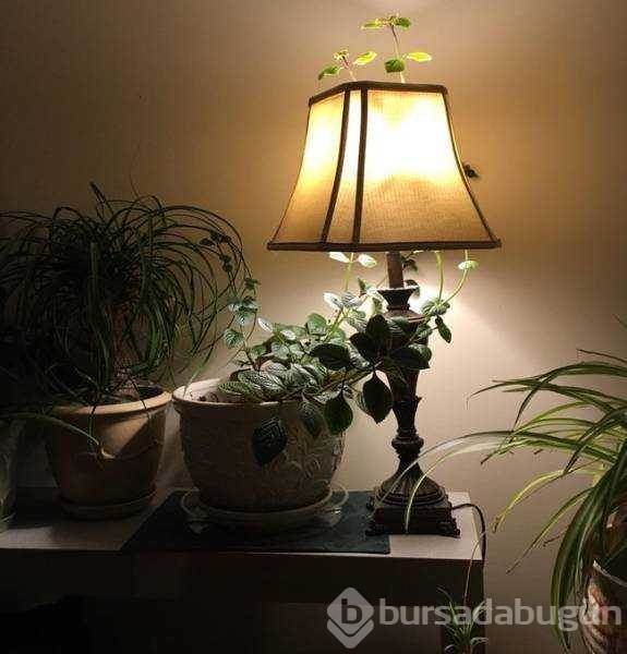 Günün en çok paylaşılan fotoğrafları
