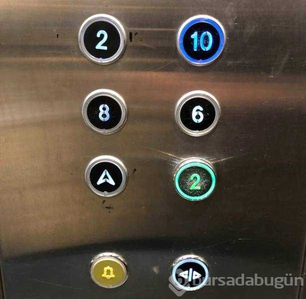 Günün en çok paylaşılan fotoğrafları
