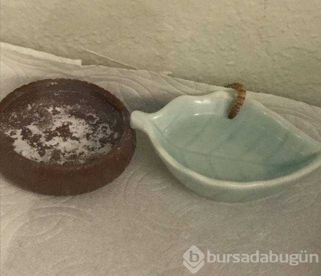 Günün en çok paylaşılan fotoğrafları
